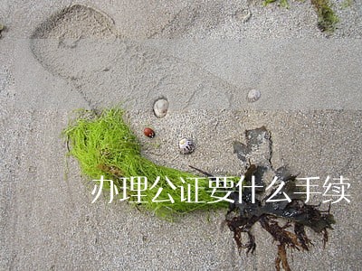 办理公证要什么手续 办理公证要什么手续