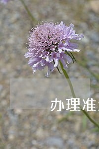 办理准生证是要离婚协议 办理准生证是要离婚协议