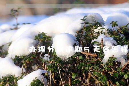 办理分期逾期5天会怎样 办理分期逾期5天会怎样