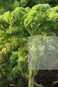 办理加盟合同案件律师收费标准 办理加盟合同案件律师收费标准