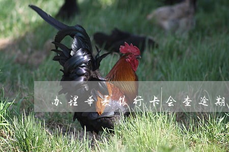 办理华夏银行卡会查逾期吗