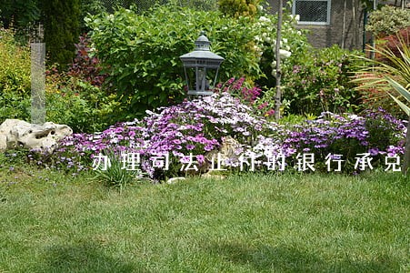 办理司法止付的银行承兑汇票