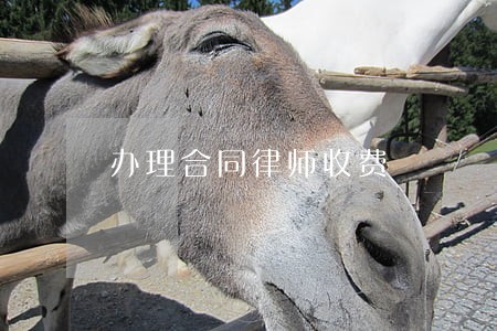 办理合同律师收费 办理合同律师收费