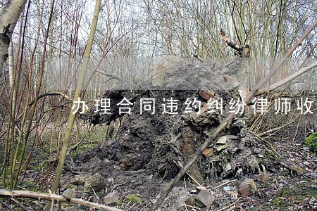 办理合同违约纠纷律师收费 办理合同违约纠纷律师收费