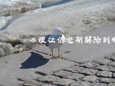 办理征信逾期解除到哪个银行呢 办理征信逾期解除到哪个银行呢