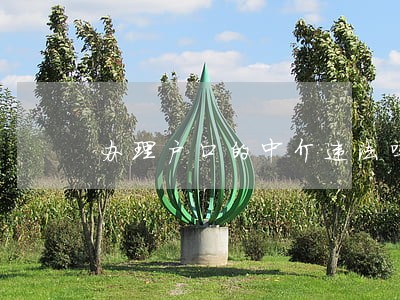 办理户口的中介违法吗 办理户口的中介违法吗