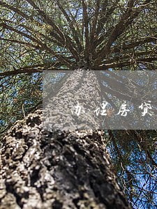 办理房贷对征信出现5次逾期 办理房贷对征信出现5次逾期