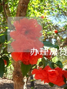 办理房贷时老婆信用卡逾期 办理房贷时老婆信用卡逾期