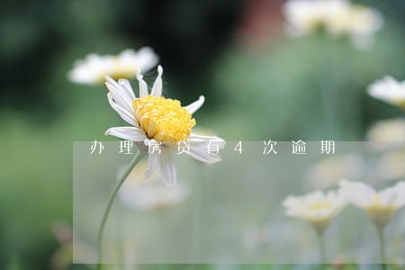 办理房贷有4次逾期 办理房贷有4次逾期