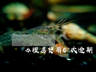办理房贷有6次逾期 办理房贷有6次逾期