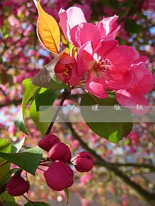 办理版权登记到哪里 办理版权登记到哪里