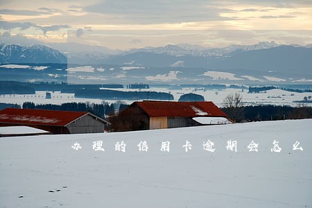 办理的信用卡逾期会怎么样 办理的信用卡逾期会怎么样