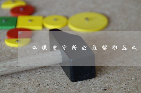 办理看守所会见律师怎么委托