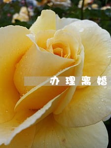 办理离婚协议纠纷律师费怎么算 办理离婚协议纠纷律师费怎么算