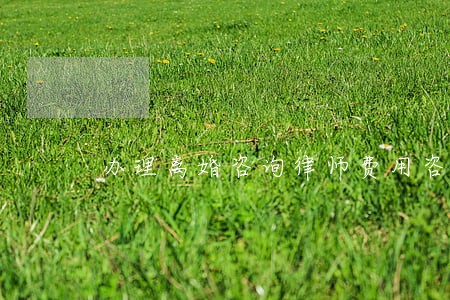 办理离婚咨询律师费用咨询