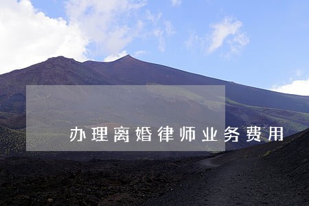 办理离婚律师业务费用 办理离婚律师业务费用
