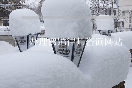办理离婚律师咨询网站 办理离婚律师咨询网站