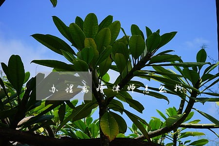办理离婚律师怎么找 办理离婚律师怎么找