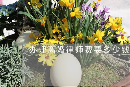 办理离婚律师费要多少钱 办理离婚律师费要多少钱