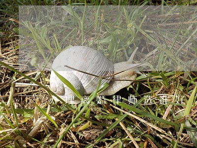 办理离婚律师选谁好 办理离婚律师选谁好