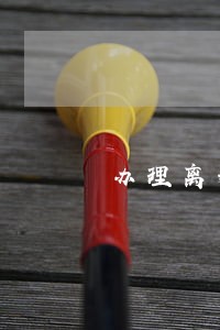办理离婚手续的程序规定 办理离婚手续的程序规定