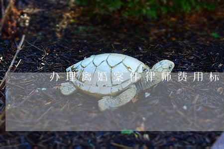 办理离婚案件律师费用标准 办理离婚案件律师费用标准