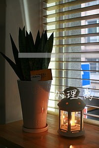 办理离婚纠纷律师预约咨询 办理离婚纠纷律师预约咨询