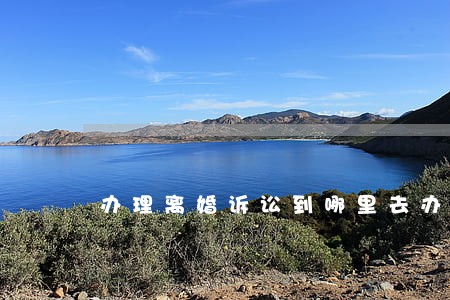 办理离婚诉讼到哪里去办 办理离婚诉讼到哪里去办
