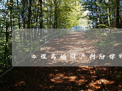 办理离婚财产纠纷律师哪个好 办理离婚财产纠纷律师哪个好