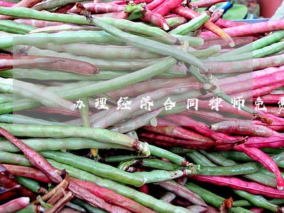 办理经济合同律师免费咨询电话 办理经济合同律师免费咨询电话
