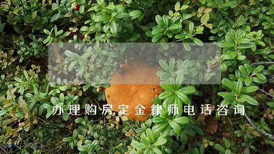 办理购房定金律师电话咨询 办理购房定金律师电话咨询