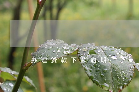 办理贷款下款逾期 办理贷款下款逾期
