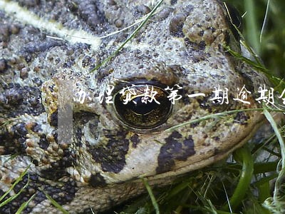办理贷款第一期逾期会怎样 办理贷款第一期逾期会怎样