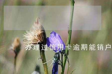 办理过信用卡逾期能销户吗 办理过信用卡逾期能销户吗