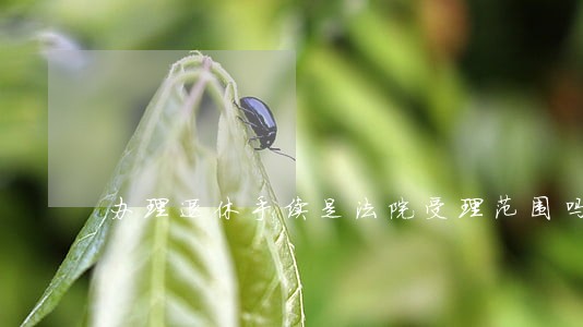 办理退休手续是法院受理范围吗