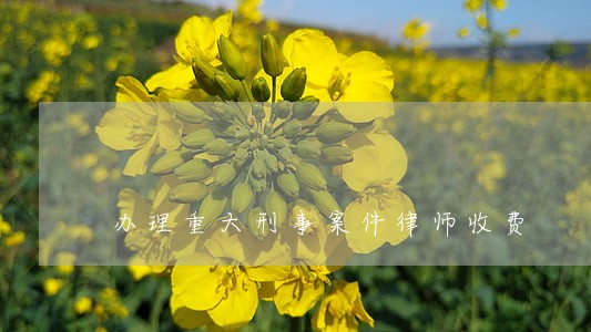 办理重大刑事案件律师收费