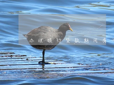 办理银行贷款期间有诉讼