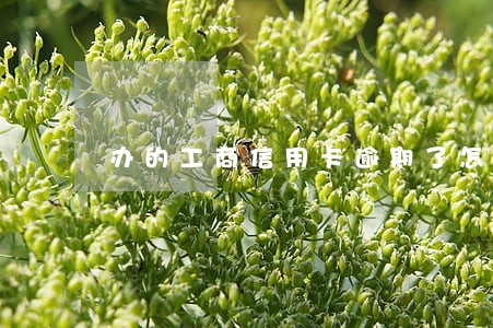 办的工商信用卡逾期了怎么办 办的工商信用卡逾期了怎么办