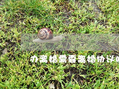 办离婚需要离婚协议吗 办离婚需要离婚协议吗