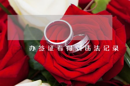 办签证看得到违法记录 办签证看得到违法记录