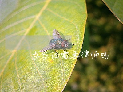 办签证需要律师吗 办签证需要律师吗