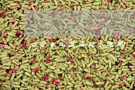 办营业执照信用卡逾期 办营业执照信用卡逾期