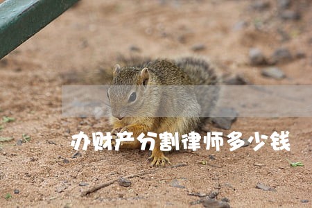 办财产分割律师多少钱 办财产分割律师多少钱