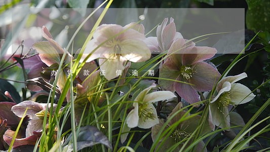 办贷款征信逾期 办贷款征信逾期