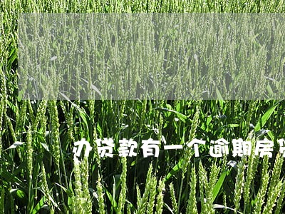 办贷款有一个逾期房贷 办贷款有一个逾期房贷