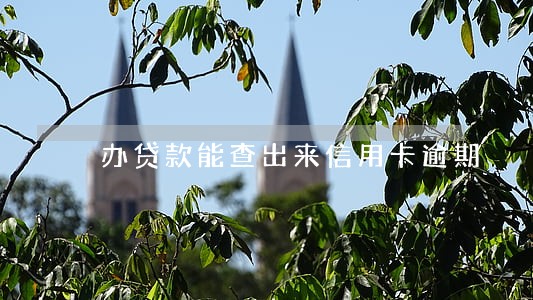 办贷款能查出来信用卡逾期