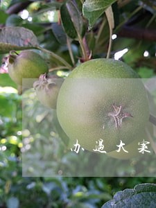 办过大案华阴市婚姻家庭在线律师 办过大案华阴市婚姻家庭在线律师