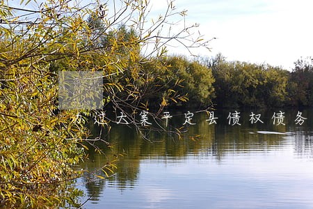 办过大案平定县债权债务在线律师 办过大案平定县债权债务在线律师