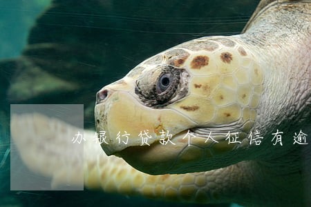 办银行贷款个人征信有逾期 办银行贷款个人征信有逾期