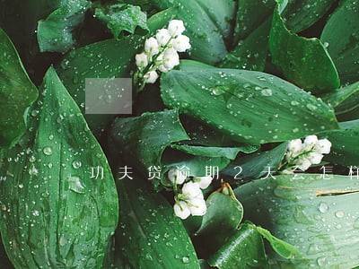 功夫贷逾期2天会怎样 功夫贷逾期2天会怎样